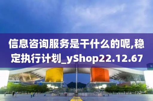 信息咨询服务是干什么的呢,稳定执行计划_yShop22.12.67