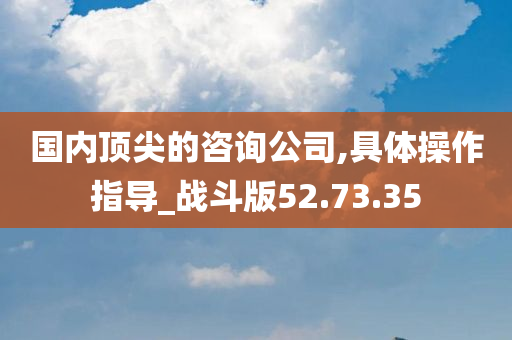 国内顶尖的咨询公司,具体操作指导_战斗版52.73.35