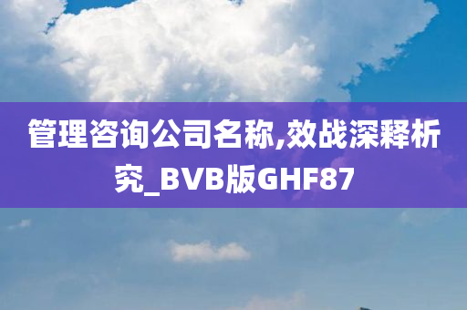 管理咨询公司名称,效战深释析究_BVB版GHF87