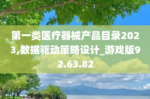 第一类医疗器械产品目录2023,数据驱动策略设计_游戏版92.63.82