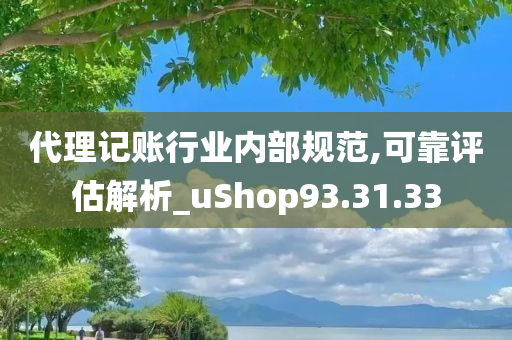 代理记账行业内部规范,可靠评估解析_uShop93.31.33