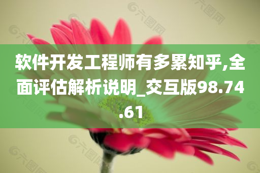 软件开发工程师有多累知乎,全面评估解析说明_交互版98.74.61