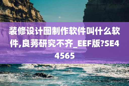 装修设计图制作软件叫什么软件,良莠研究不齐_EEF版?SE44565