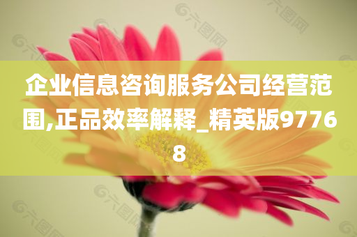 企业信息咨询服务公司经营范围,正品效率解释_精英版97768