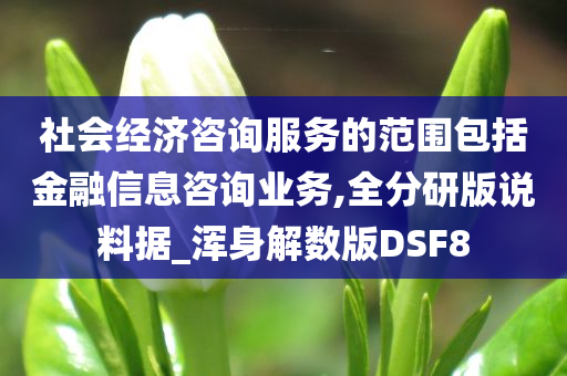 社会经济咨询服务的范围包括金融信息咨询业务,全分研版说料据_浑身解数版DSF8