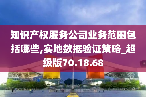 知识产权服务公司业务范围包括哪些,实地数据验证策略_超级版70.18.68