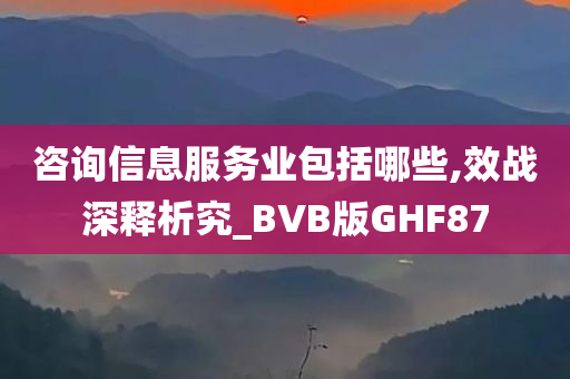 咨询信息服务业包括哪些,效战深释析究_BVB版GHF87