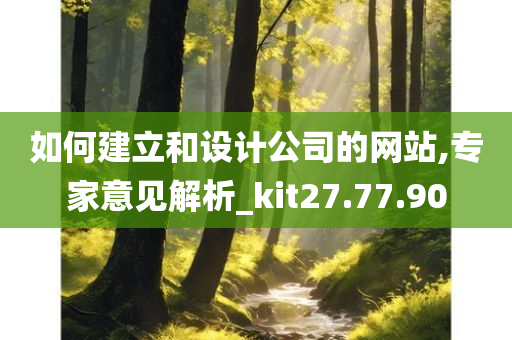 如何建立和设计公司的网站,专家意见解析_kit27.77.90