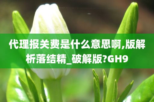 代理报关费是什么意思啊,版解析落结精_破解版?GH9