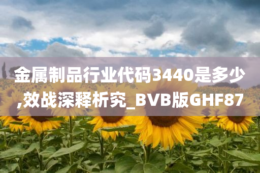 金属制品行业代码3440是多少,效战深释析究_BVB版GHF87