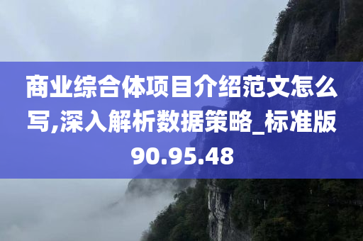 商业综合体项目介绍范文怎么写,深入解析数据策略_标准版90.95.48