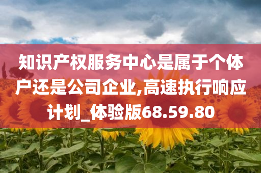 知识产权服务中心是属于个体户还是公司企业,高速执行响应计划_体验版68.59.80