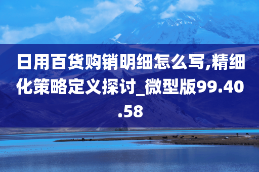 日用百货购销明细怎么写,精细化策略定义探讨_微型版99.40.58