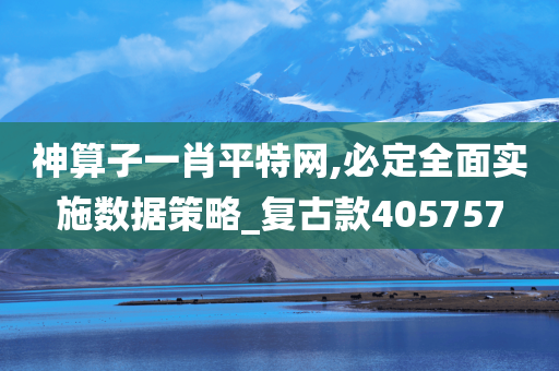 神算子一肖平特网,必定全面实施数据策略_复古款405757