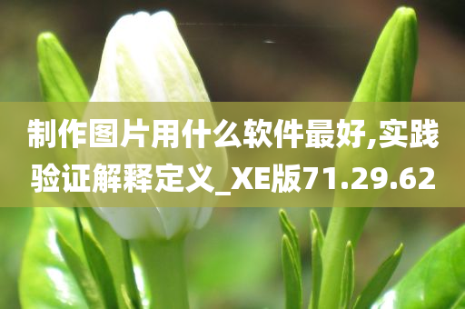 制作图片用什么软件最好,实践验证解释定义_XE版71.29.62