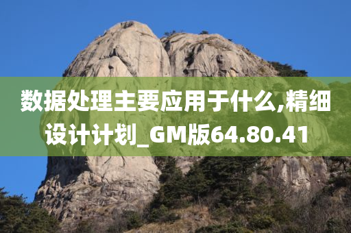 数据处理主要应用于什么,精细设计计划_GM版64.80.41