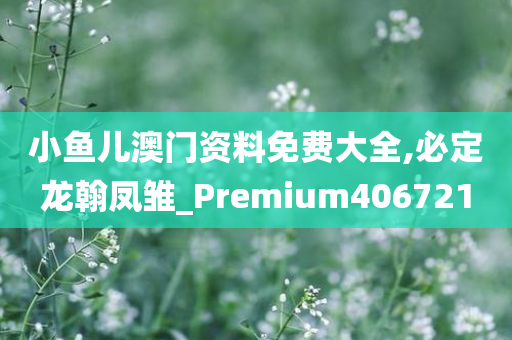 小鱼儿澳门资料免费大全,必定龙翰凤雏_Premium406721