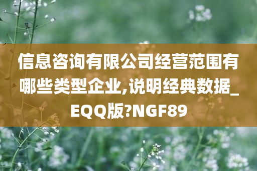 信息咨询有限公司经营范围有哪些类型企业,说明经典数据_EQQ版?NGF89