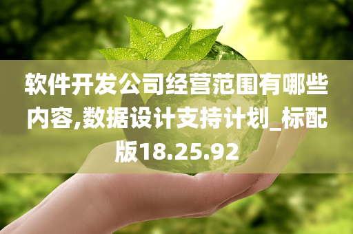 软件开发公司经营范围有哪些内容,数据设计支持计划_标配版18.25.92