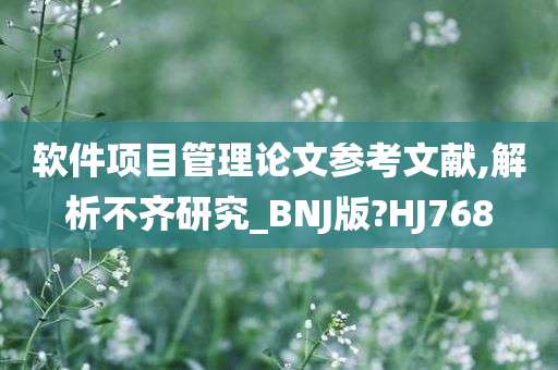 软件项目管理论文参考文献,解析不齐研究_BNJ版?HJ768