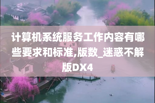 计算机系统服务工作内容有哪些要求和标准,版数_迷惑不解版DX4