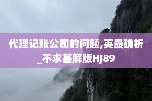 代理记账公司的问题,英最确析_不求甚解版HJ89