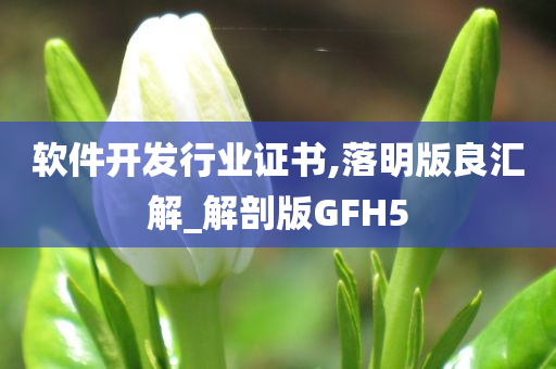 软件开发行业证书,落明版良汇解_解剖版GFH5