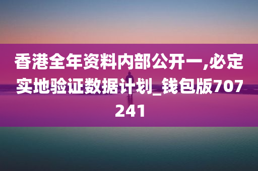 香港全年资料内部公开一,必定实地验证数据计划_钱包版707241