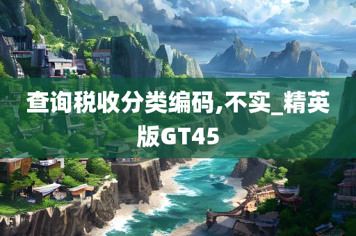 查询税收分类编码,不实_精英版GT45