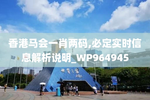 香港马会一肖两码,必定实时信息解析说明_WP964945