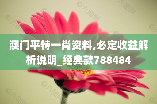 澳门平特一肖资料,必定收益解析说明_经典款788484