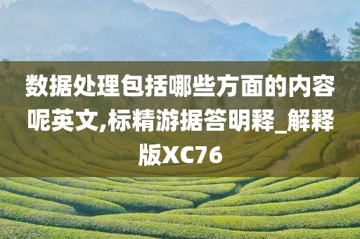 数据处理包括哪些方面的内容呢英文,标精游据答明释_解释版XC76