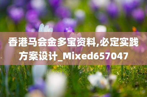 香港马会金多宝资料,必定实践方案设计_Mixed657047