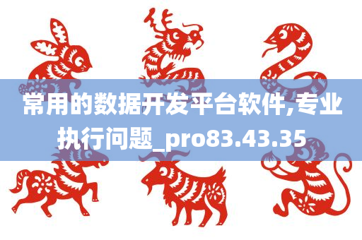 常用的数据开发平台软件,专业执行问题_pro83.43.35