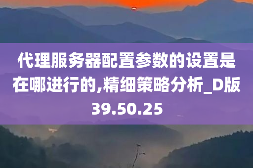 代理服务器配置参数的设置是在哪进行的,精细策略分析_D版39.50.25