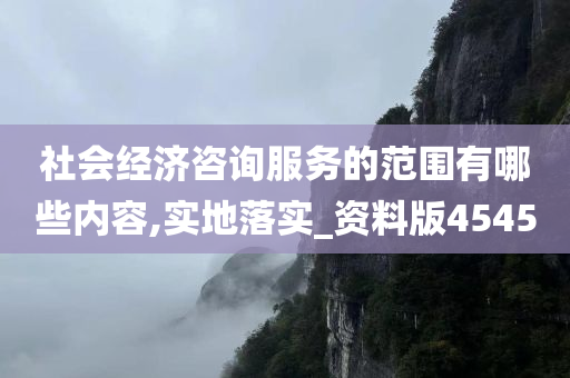 社会经济咨询服务的范围有哪些内容,实地落实_资料版4545