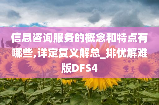 信息咨询服务的概念和特点有哪些,详定复义解总_排忧解难版DFS4