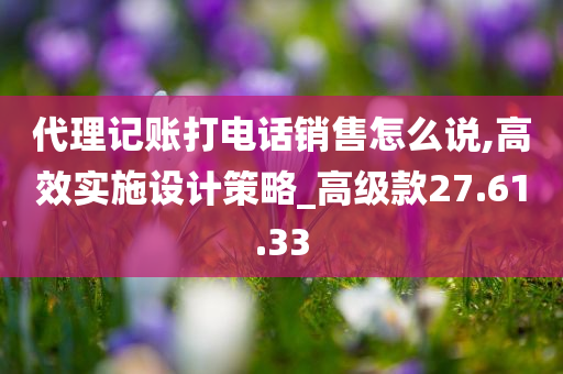 代理记账打电话销售怎么说,高效实施设计策略_高级款27.61.33