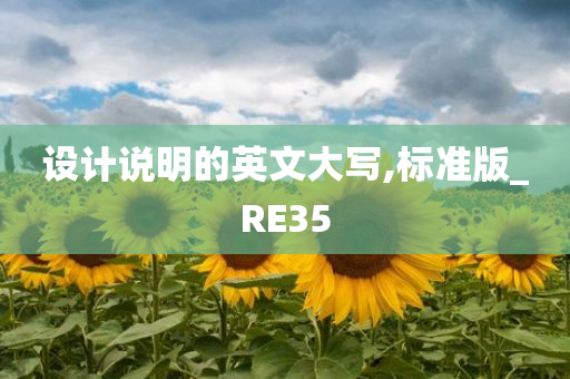 设计说明的英文大写,标准版_RE35