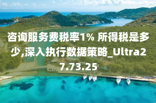 咨询服务费税率1% 所得税是多少,深入执行数据策略_Ultra27.73.25