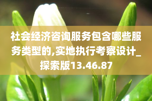 社会经济咨询服务包含哪些服务类型的,实地执行考察设计_探索版13.46.87