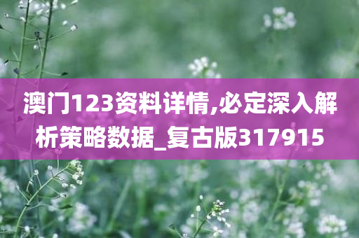 澳门123资料详情,必定深入解析策略数据_复古版317915