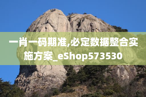 一肖一码期准,必定数据整合实施方案_eShop573530