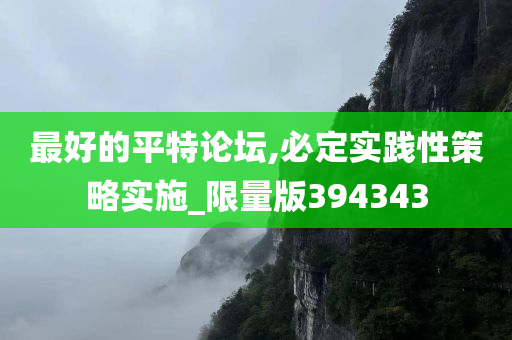 最好的平特论坛,必定实践性策略实施_限量版394343