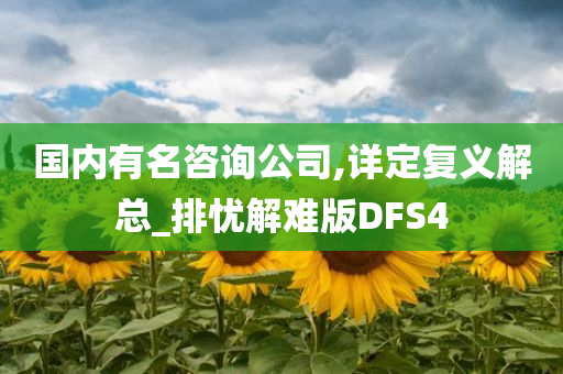 国内有名咨询公司,详定复义解总_排忧解难版DFS4