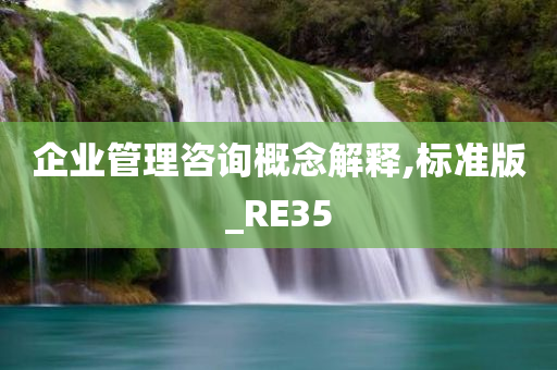 企业管理咨询概念解释,标准版_RE35