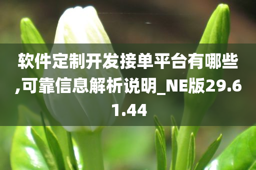 软件定制开发接单平台有哪些,可靠信息解析说明_NE版29.61.44