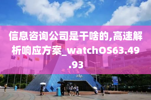 信息咨询公司是干啥的,高速解析响应方案_watchOS63.49.93