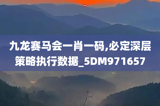 九龙赛马会一肖一码,必定深层策略执行数据_5DM971657