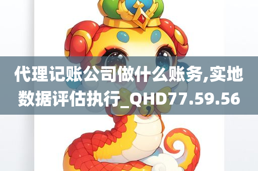 代理记账公司做什么账务,实地数据评估执行_QHD77.59.56